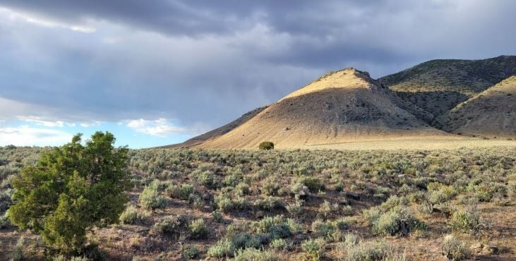 BLM Gerlach gold exploration project