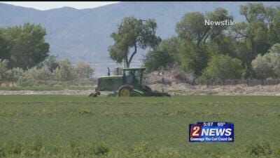 USDA Offers Help for Organic Farmers