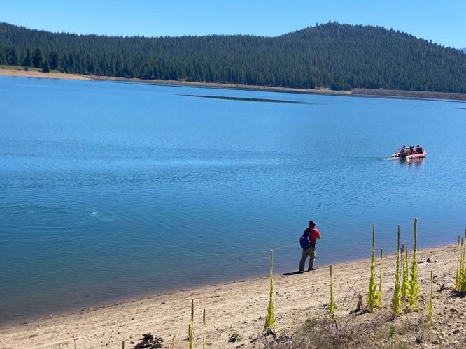 Kiely Rodni search.jpg