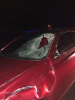 Car Crashes into Cow on US-50