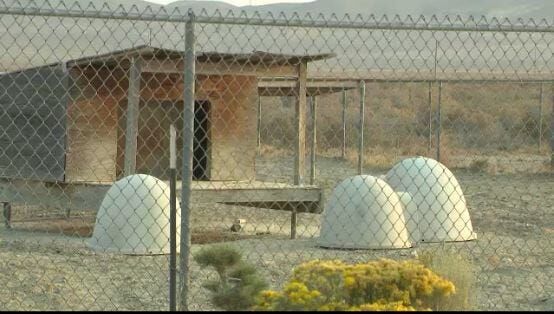 Chewy Changes Pet Donation Process, Rescue Groups Worried about Ramifications