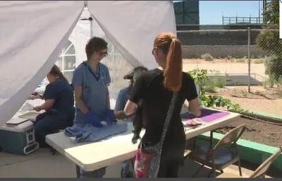 Help for Pets of Reno's Homeless
