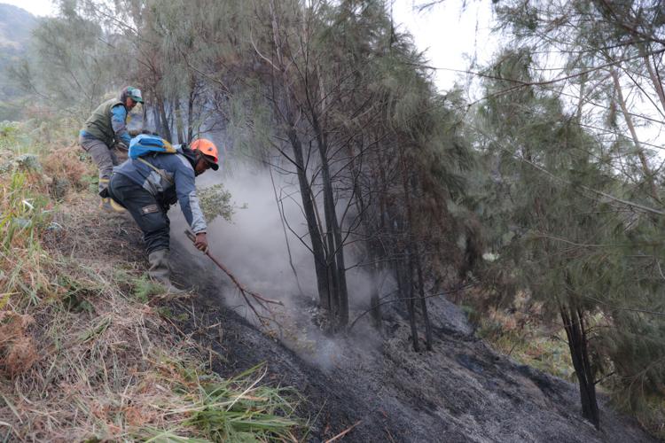Indonesia Wildfire