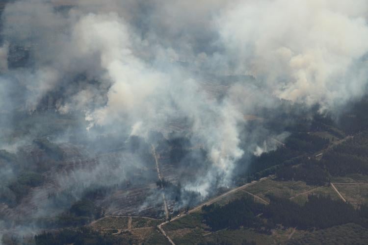Germany Extreme Weather Wildfire