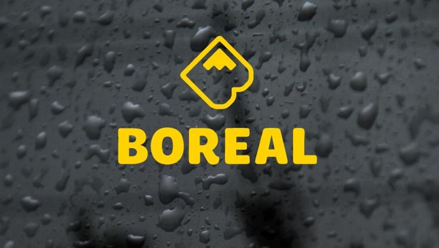Boreal Logo.JPG