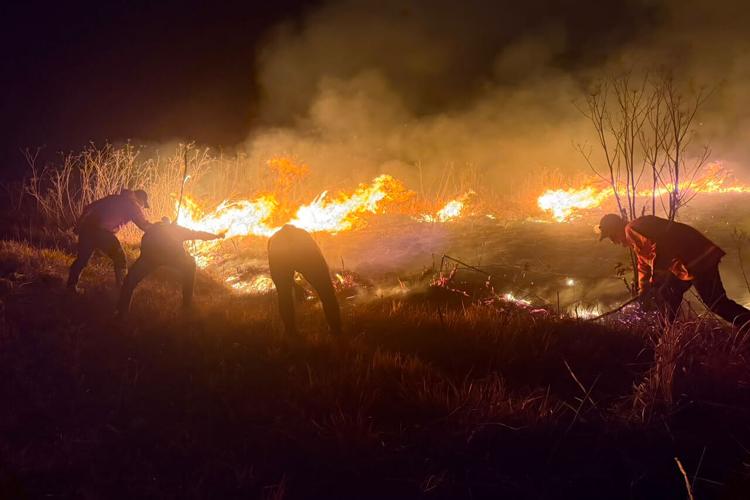 Indonesia Wildfire