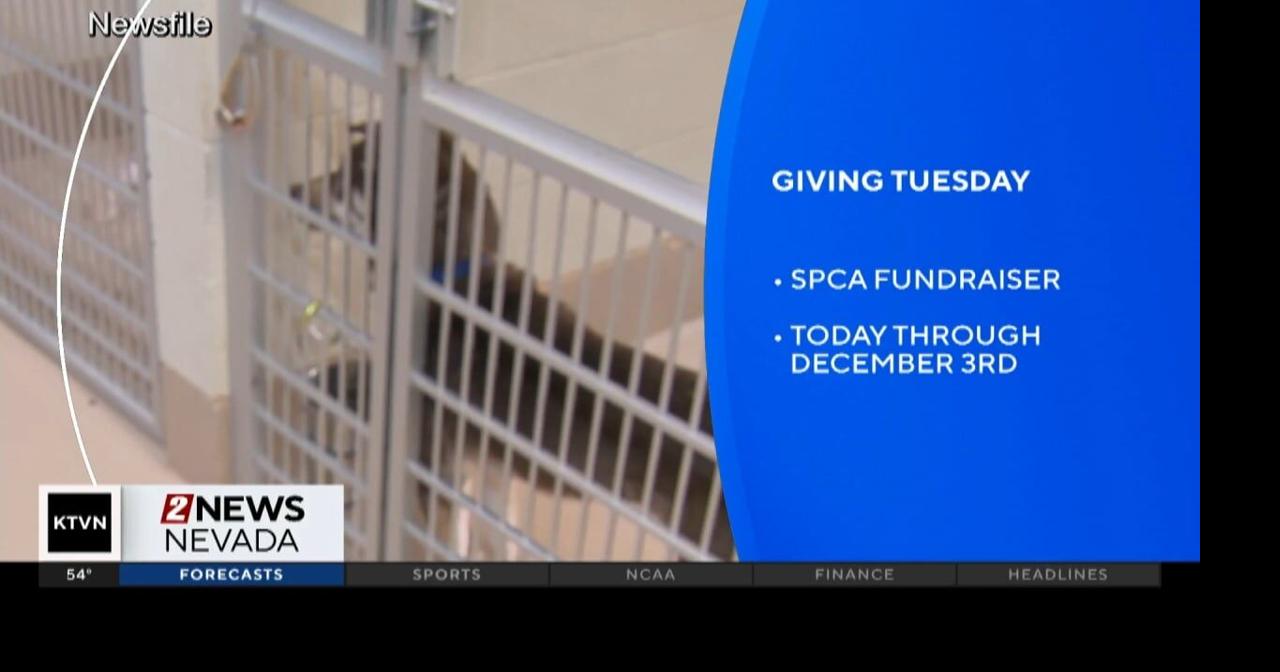SPCA Giving Tuesday fundraiser | Local News | 2news.com