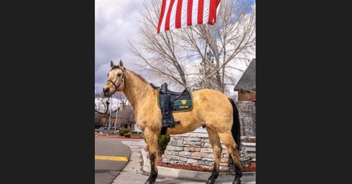 Washoe County Sheriff's Office Mourns Loss of Police Horse "Cloud" - Vimarsana News