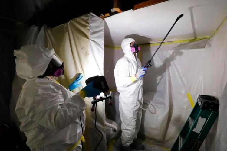 Asbestos