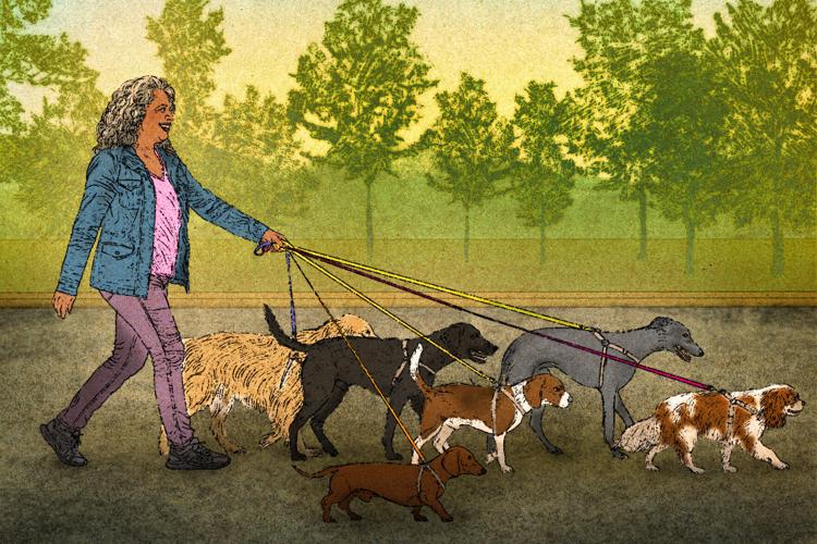 US-Be Well-Working Well-Retiree Gig Work