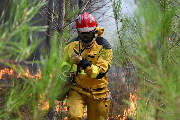 APTOPIX France Wildfires