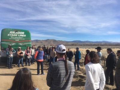 Goat Grazing Creates More Natural, Sustainable Rangeland