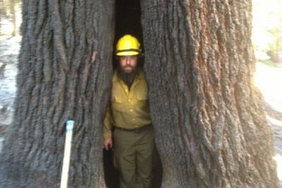 McDonald's to Hold Fundraiser Thursday for Fallen BLM Firefighter