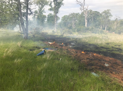 NTSB Releases Preliminary Report in Deadly Auburn Plane Crash