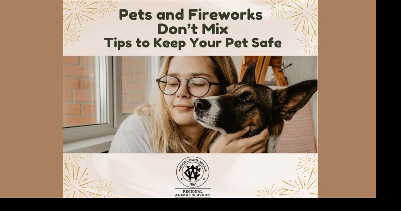 Fourth of July fireworks pose safety risks for pets; tips to keep your ...