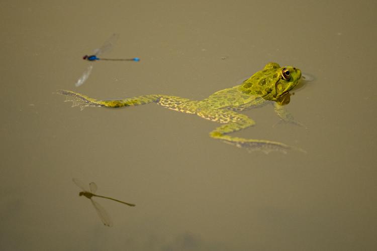 Romania Extreme Weather Danube Drought