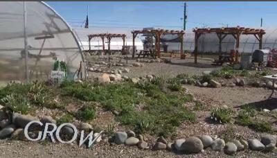 Whole Foods Market Helps Local Nonprofit Urban Roots