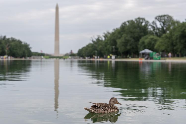 Lincoln Memorial Reflecting Pool