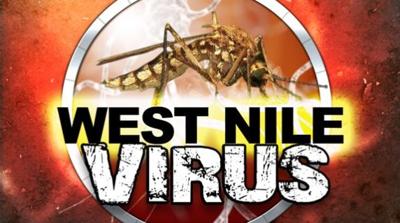 Man Contracts Nevada's First West Nile Case of 2017