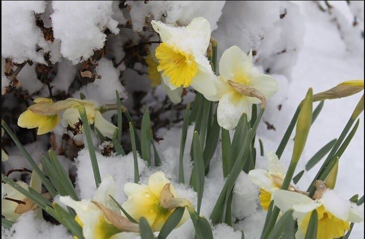 Possibly Getting Rid Of Weather Advisories