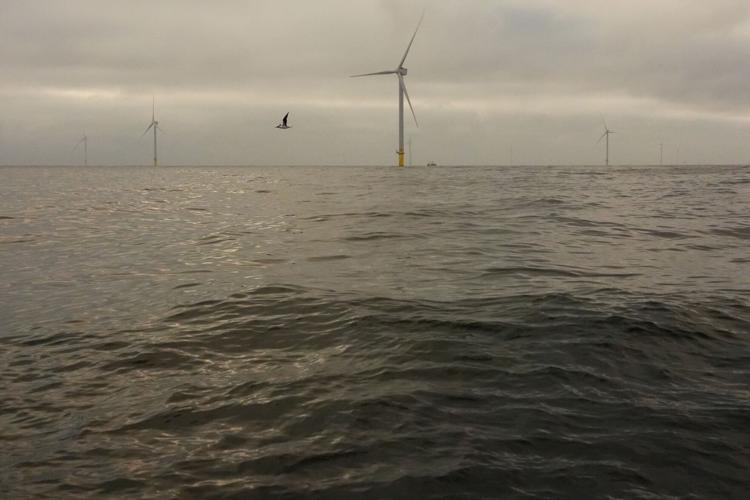 Climate Offshore Wind