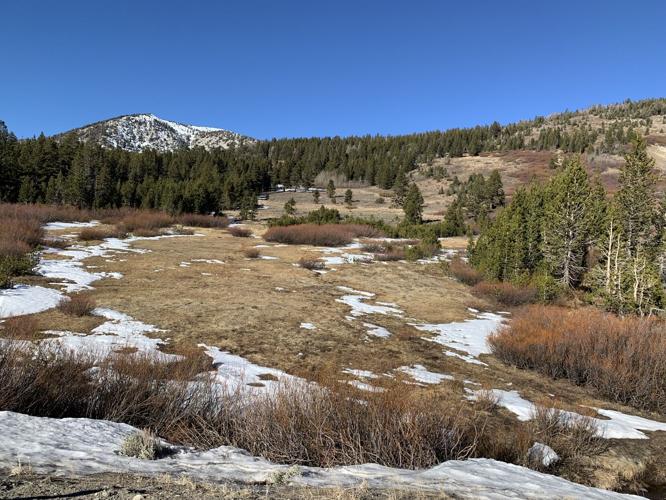 Mt. Rose Meadows