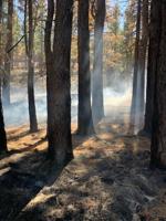 Spot fires inside the Davis Fire control line kicking up dust and smoke