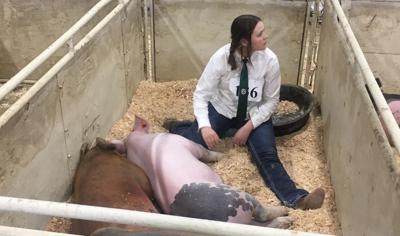 Nevada's Youth Prepare for 4-H Livestock Show