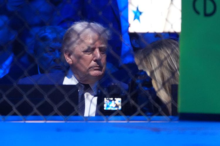 UFC Freedom 250 Trump