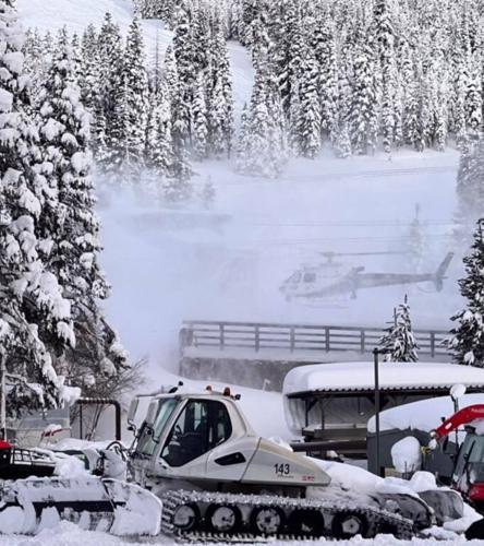 Placer County Skier Search