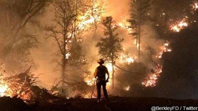 Firefighter Overtime Surges 65% In California