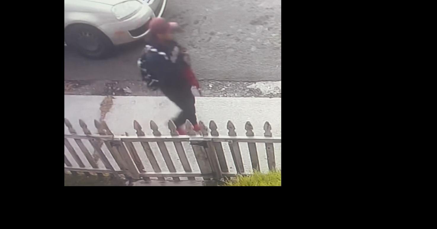 Elko Police Seek Duo in Attempted Armed Robbery Case | News | 2news.com