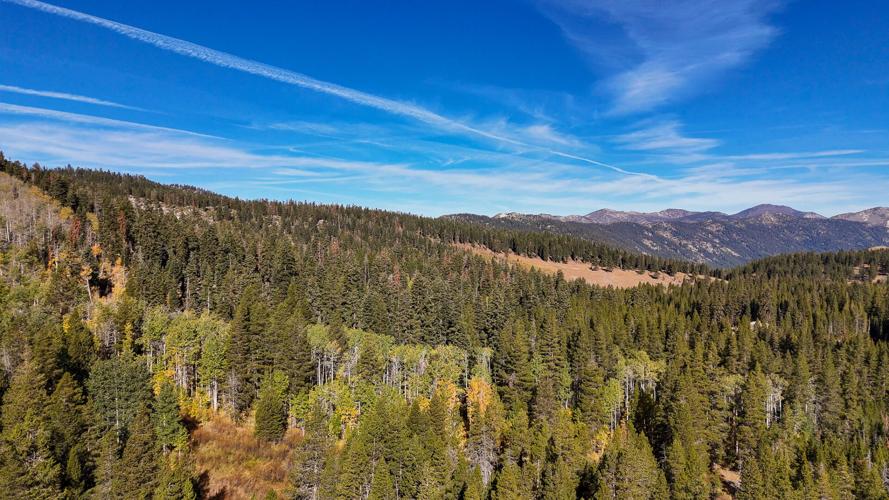 Spooner Backcountry 1.jpg