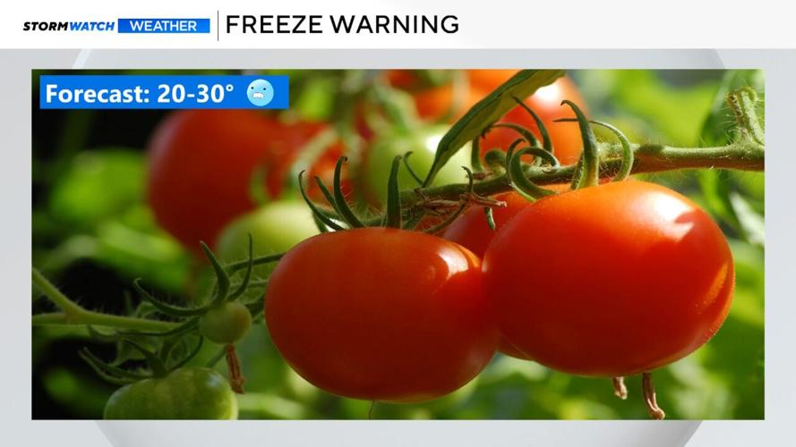 Storm Watch Freeze Warning .jpg