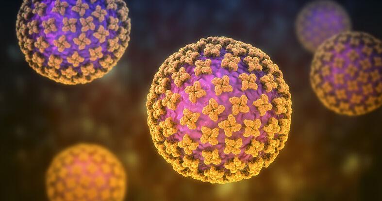 Hantavirus case confirmed in Quad-County region near Carson City