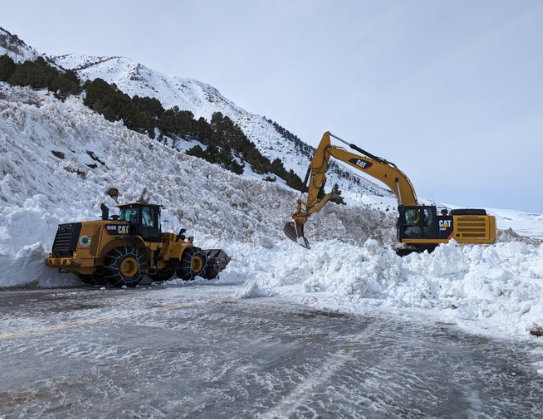 Mono ava response.PNG