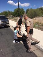 Douglas County Duckling Rescue