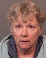 Woman Accused of Setting Fires Near Sparks Home Over Several Months