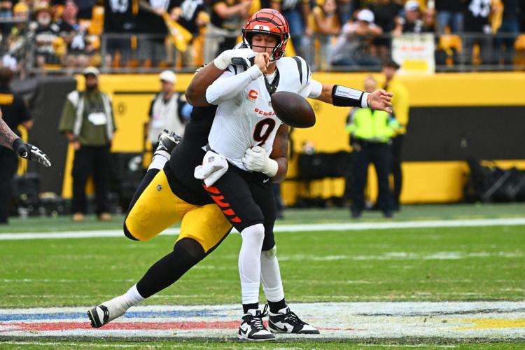 APTOPIX Bengals Steelers Football