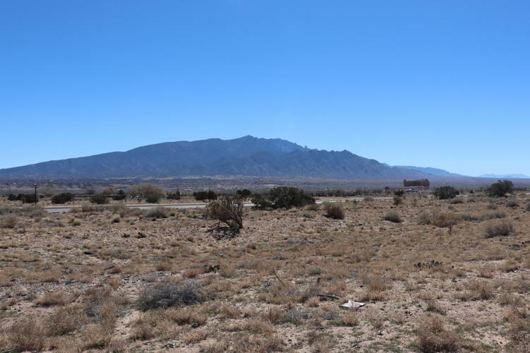 US Native American Health