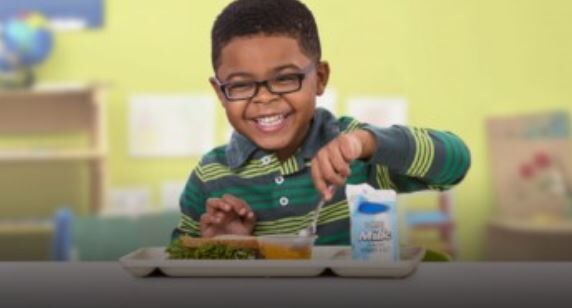Child eating meal