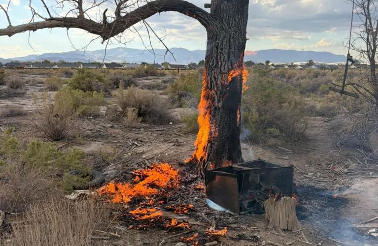 Fernley Tree Fire