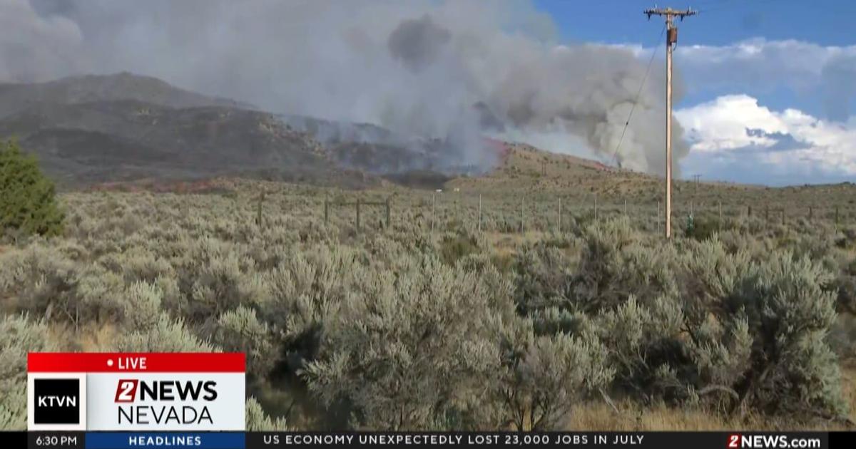 Rapid Spread of Bug Fire: 800 Acres in Record Time, a Wake-Up Call for Reno Residents