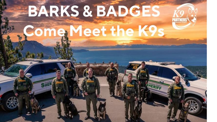 Barks and Badges