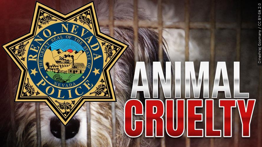 Reno Police Animal Cruelty .jpg