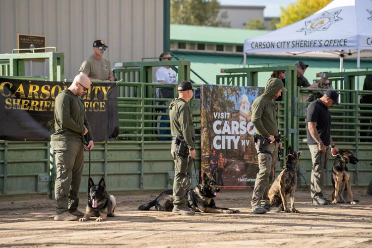 K9 challenge 4