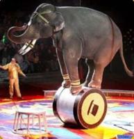 Things 2 Do This Weekend!