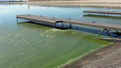 Lahontan Reservoir algal bloom