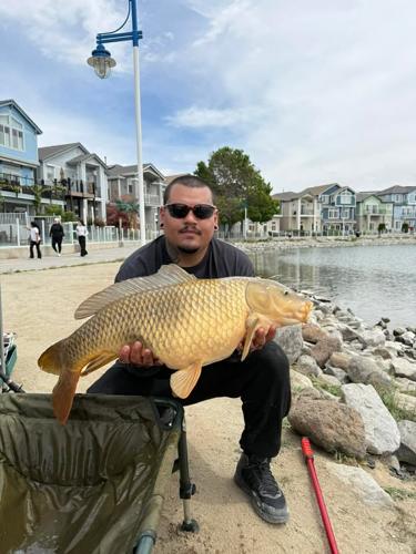 carp 1.jpg