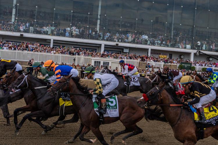 Preakness Announcement Horse Racing